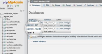 دسترسی به دیتابیس وردپرس از طریق phpMyAdmin