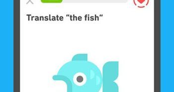 برنامه آموزش زبان duolingo برای اندروید (نسخه کامل)