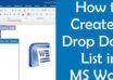 آموزش ساخت لیست Drop Down در Word